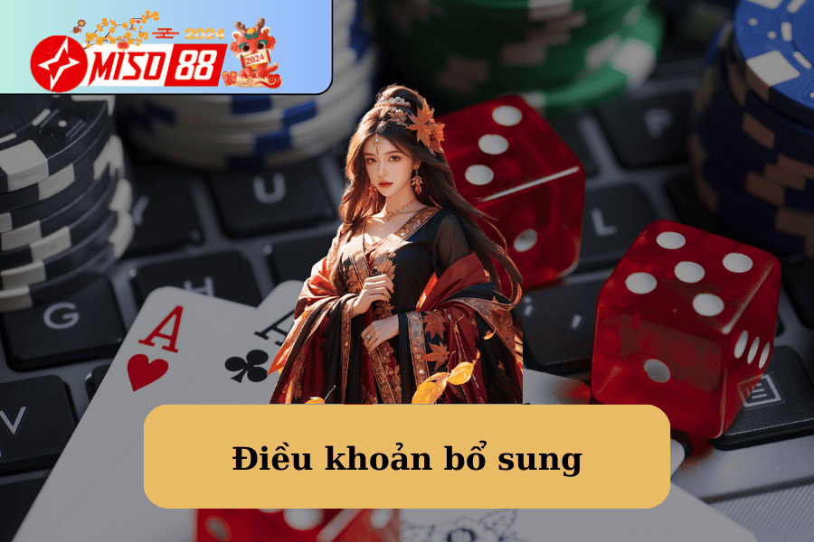 Điều khoản bổ sung