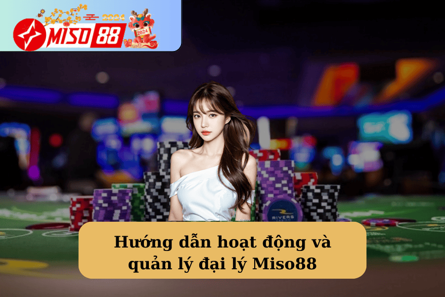 Hướng dẫn hoạt động và quản lý đại lý Miso88