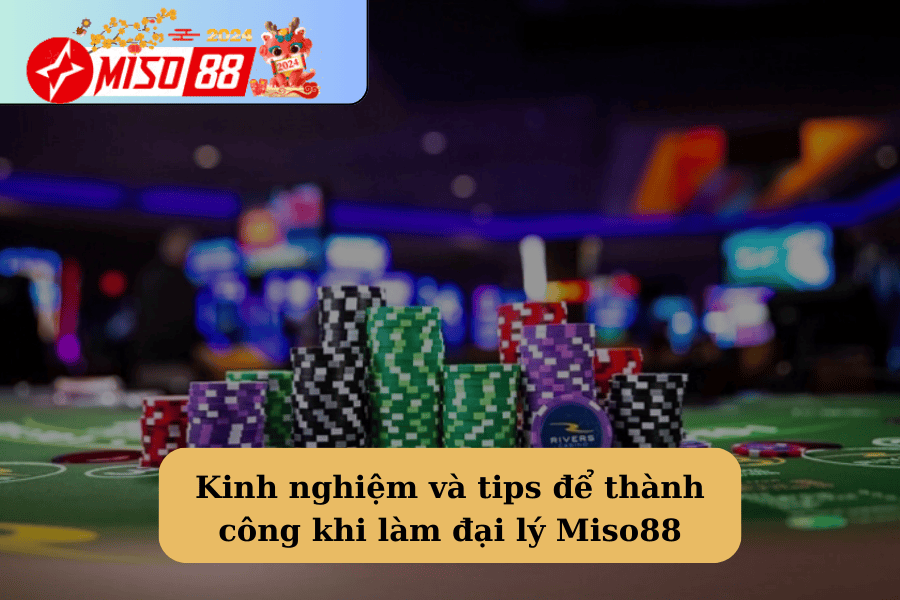 Kinh nghiệm và tips để thành công khi làm đại lý Miso88