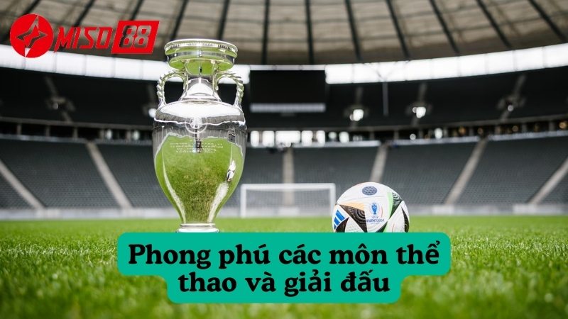 Phong phú các môn thể thao và giải đấu