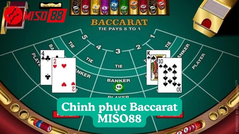 Phân tích tỷ lệ cược và lợi nhuận khi chơi Baccarat MISO88