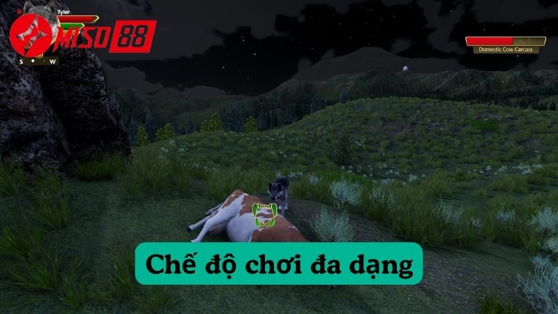 Chế độ chơi đa dạng