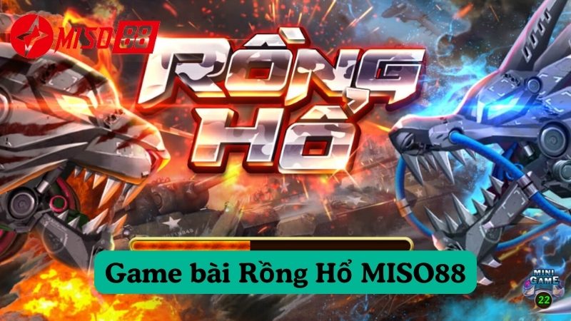 Những lưu ý quan trọng khi chơi game Rồng Hổ MISO88 trực tuyến