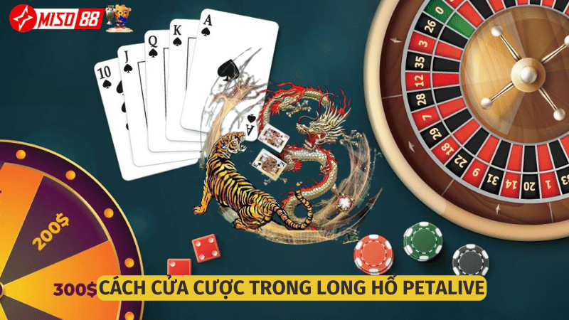 Đa dạng các cửa cược