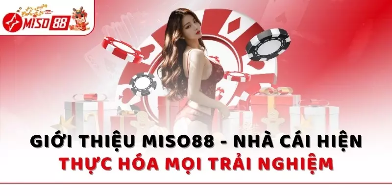 Đôi nét về MISO88