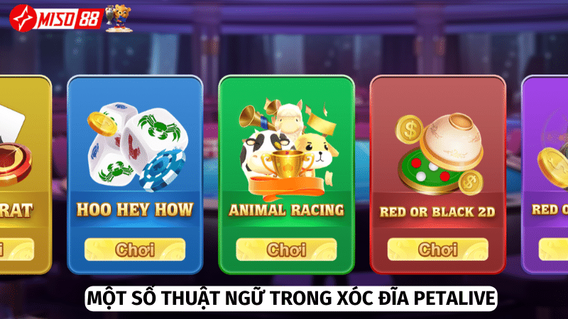 Những thuật ngữ “chuyên ngành” phổ biến