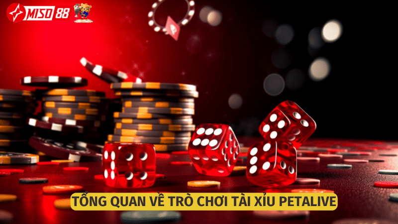 Tài xỉu là niềm đam mê của nhiều người chơi tại Miso88